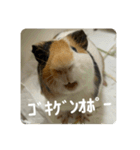 6もるもる（個別スタンプ：16）