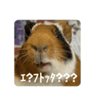 6もるもる（個別スタンプ：21）