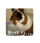 6もるもる（個別スタンプ：23）