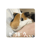 6もるもる（個別スタンプ：27）