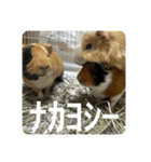 6もるもる（個別スタンプ：30）