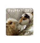 6もるもる（個別スタンプ：32）