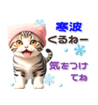 ニット帽ねこ♡思いやり 気づかい（個別スタンプ：26）