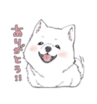 大型犬たち（個別スタンプ：1）