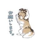 大型犬たち（個別スタンプ：8）