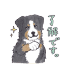 大型犬たち（個別スタンプ：10）