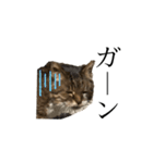 表現が豊かな猫1（個別スタンプ：6）