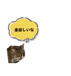 表現が豊かな猫1（個別スタンプ：10）