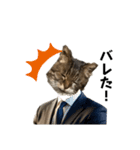 表現が豊かな猫1（個別スタンプ：19）