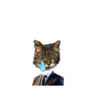 表現が豊かな猫1（個別スタンプ：20）