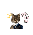 表現が豊かな猫1（個別スタンプ：23）