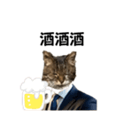 表現が豊かな猫1（個別スタンプ：24）