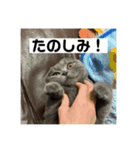 ぬん蔵2（個別スタンプ：2）