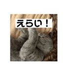 ぬん蔵2（個別スタンプ：3）