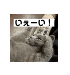ぬん蔵2（個別スタンプ：4）