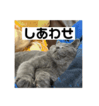 ぬん蔵2（個別スタンプ：5）