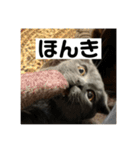 ぬん蔵2（個別スタンプ：6）