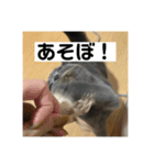 ぬん蔵2（個別スタンプ：7）