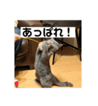 ぬん蔵2（個別スタンプ：9）
