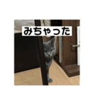 ぬん蔵2（個別スタンプ：16）
