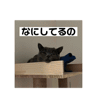ぬん蔵2（個別スタンプ：17）