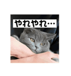 ぬん蔵2（個別スタンプ：18）