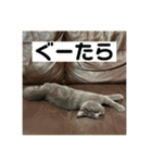ぬん蔵2（個別スタンプ：19）