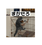 ぬん蔵2（個別スタンプ：21）