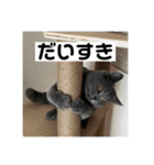 ぬん蔵2（個別スタンプ：22）