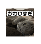 ぬん蔵2（個別スタンプ：23）