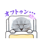 なかよぷかぞぷ( •ω•ฅ）（個別スタンプ：3）