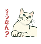 【関西弁】猫♡えぶりでい！伝われ！やで（個別スタンプ：2）