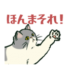 【関西弁】猫♡えぶりでい！伝われ！やで（個別スタンプ：4）