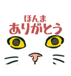 【関西弁】猫♡えぶりでい！伝われ！やで（個別スタンプ：5）