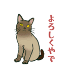 【関西弁】猫♡えぶりでい！伝われ！やで（個別スタンプ：7）