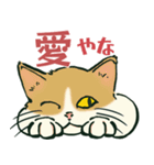 【関西弁】猫♡えぶりでい！伝われ！やで（個別スタンプ：9）