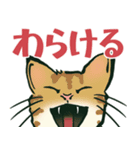 【関西弁】猫♡えぶりでい！伝われ！やで（個別スタンプ：13）