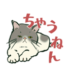 【関西弁】猫♡えぶりでい！伝われ！やで（個別スタンプ：14）