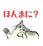 【関西弁】猫♡えぶりでい！伝われ！やで（個別スタンプ：17）