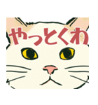 【関西弁】猫♡えぶりでい！伝われ！やで（個別スタンプ：19）