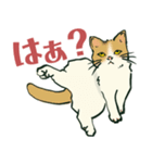 【関西弁】猫♡えぶりでい！伝われ！やで（個別スタンプ：20）