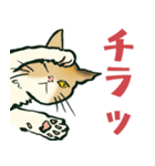 【関西弁】猫♡えぶりでい！伝われ！やで（個別スタンプ：21）