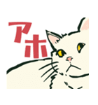 【関西弁】猫♡えぶりでい！伝われ！やで（個別スタンプ：27）