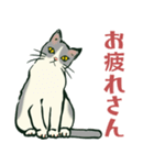 【関西弁】猫♡えぶりでい！伝われ！やで（個別スタンプ：31）