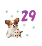 かわいい犬たちと数字のスタンプ（個別スタンプ：29）