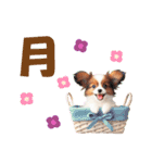 かわいい犬たちと数字のスタンプ（個別スタンプ：37）