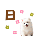 かわいい犬たちと数字のスタンプ（個別スタンプ：38）