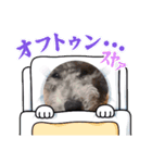 ルルのスタンプッ！！（個別スタンプ：1）