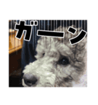 ルルのスタンプッ！！（個別スタンプ：2）