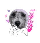 ルルのスタンプッ！！（個別スタンプ：3）